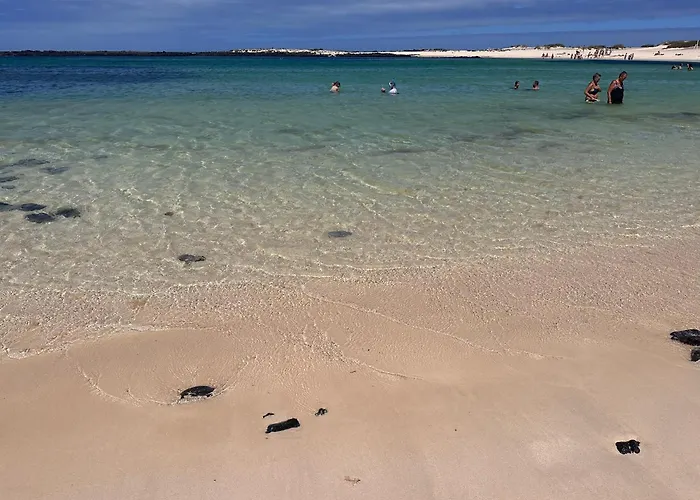 Casa Dunas Oasis Apartman *