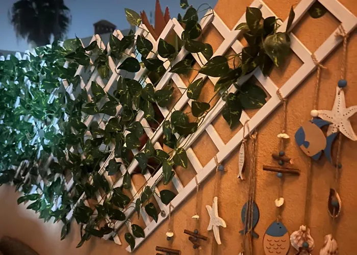 Casa Dunas Oasis